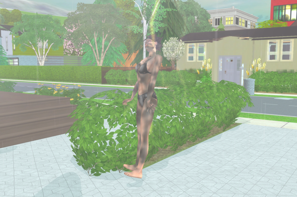 Sims2-EP9-RPC-2021-08-08-10-47-19-82