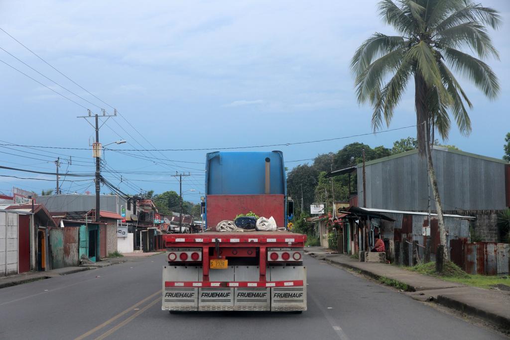 DIA 4: PRIMER DÍA EN PUERTO VIEJO - DE TORTUGAS Y PEREZOSOS. COSTA RICA 2019 (7)