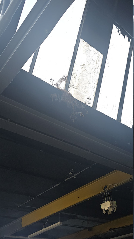 [Image: 20251103-083428.jpg]