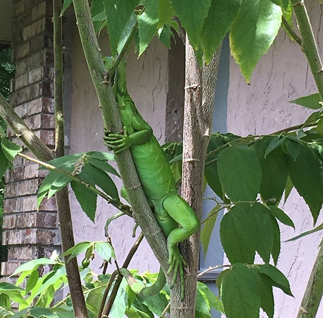 F1EDC8A5-F418-482E-B157-9464C37DDEB9