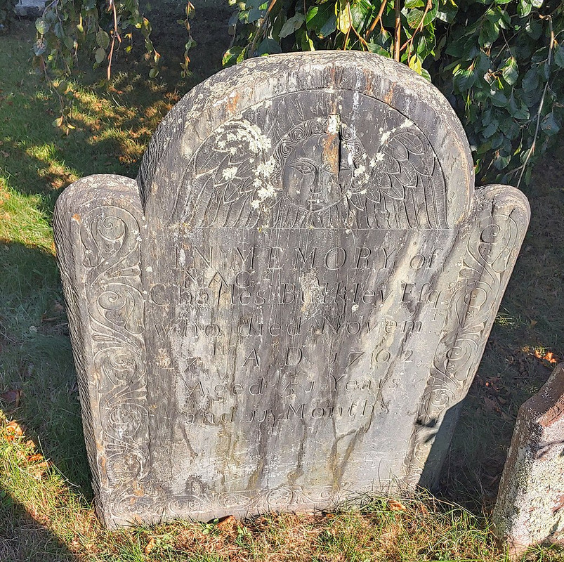 JohnStevensShop byCoolGuySlate