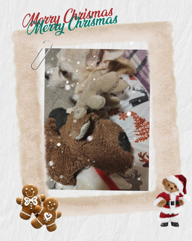 Polish 20251211 064506696