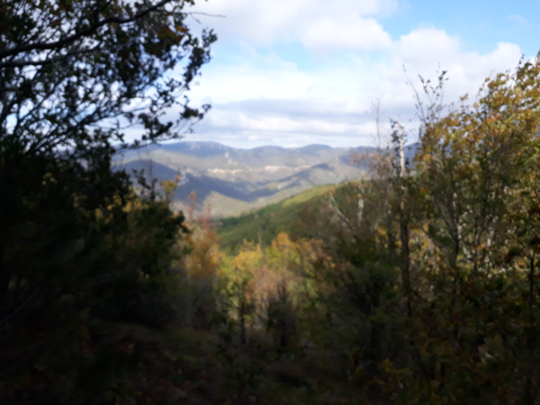 20201106-103623.jpg