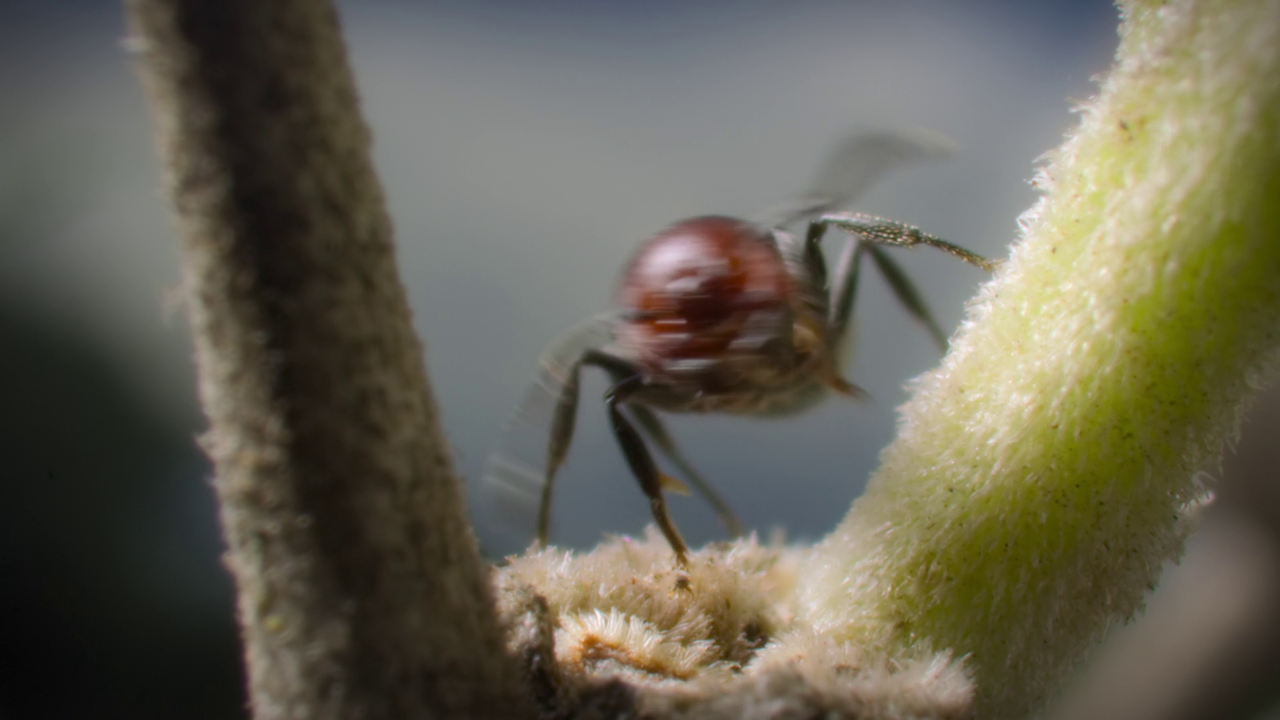 vlcsnap-2022-09-22-11h01m07s272