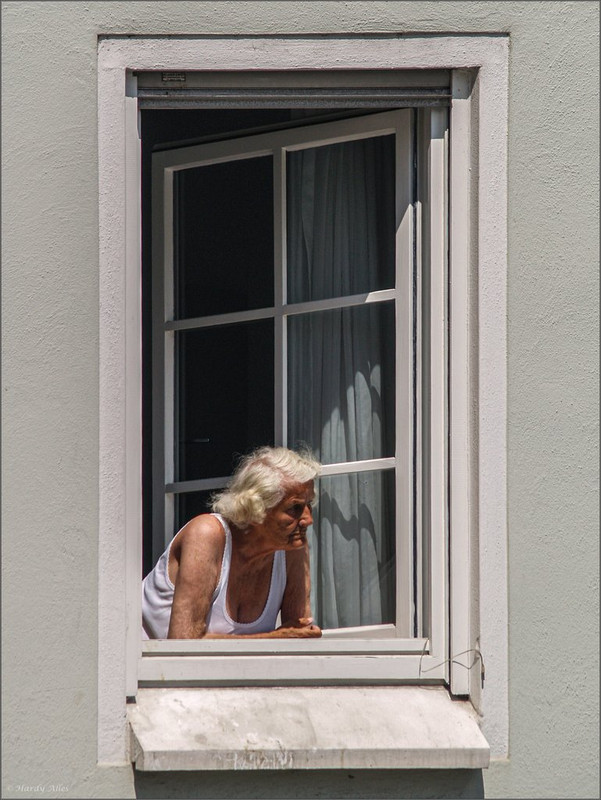 P7184485  2025 Vögel und so  LR ERWZ FB