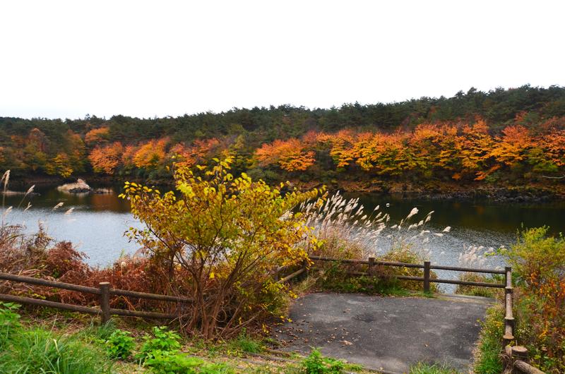 Lago Shōji-16-11-2024 - Japón y sus Pueblos-2024 (12)