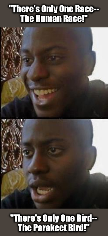 -Celebrating Human Biodiversity- meme from RiseAndStayRisen