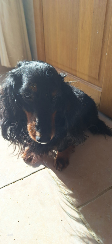 [Image: 20250127-121508.jpg]