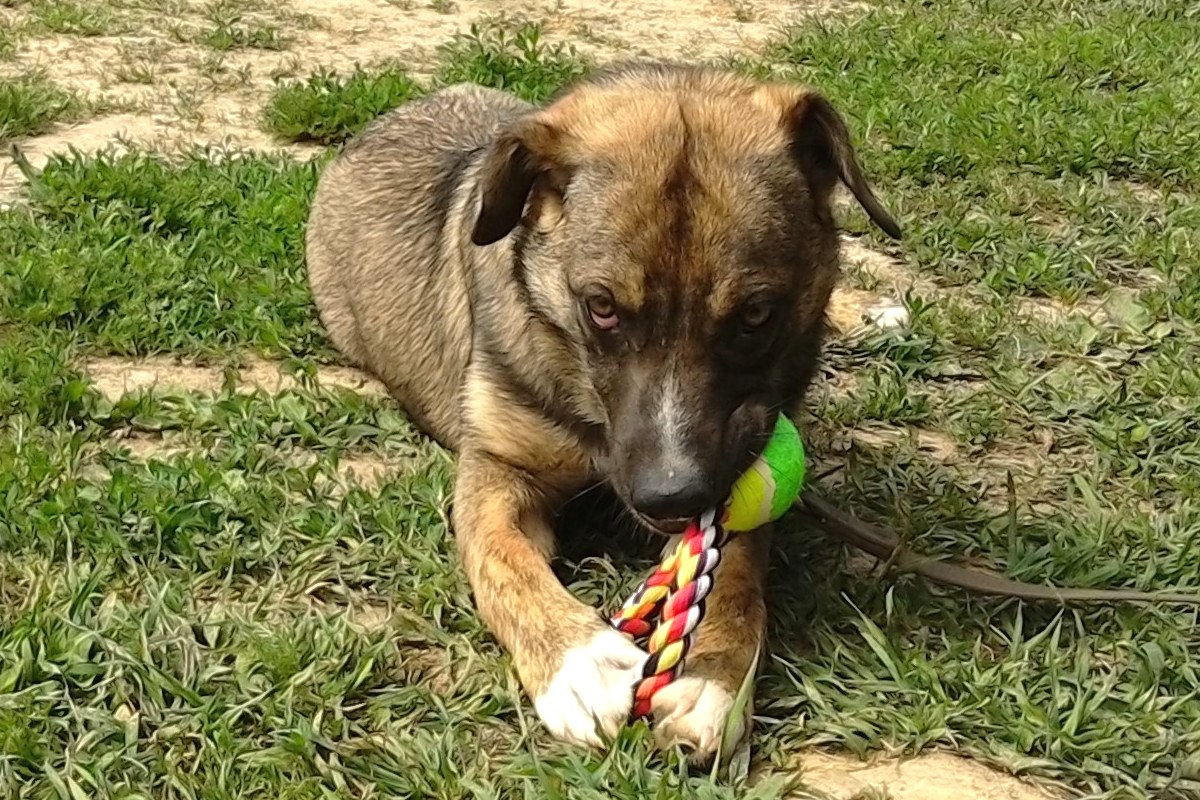 IMG_20190525_120930E