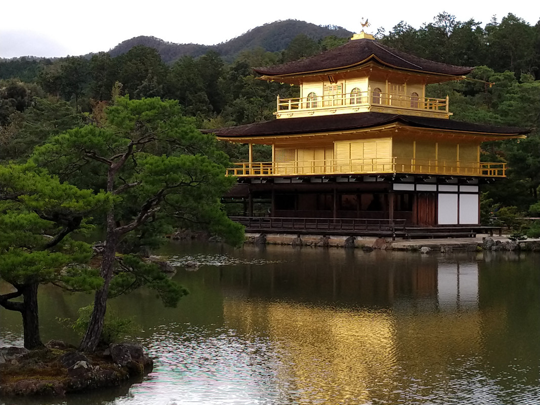 LUNES 10 KYOTO - Kinkaku-ji - Ryoan-ji. - Tenryu-ji - Bosque de bambú. - JAPON. UNA GRAN AVENTURA , SIN ENAMORAMIENTO FINAL (4)
