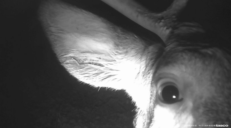 B93DC11B-2FB6-479E-BCCD-8E561D93BCB2