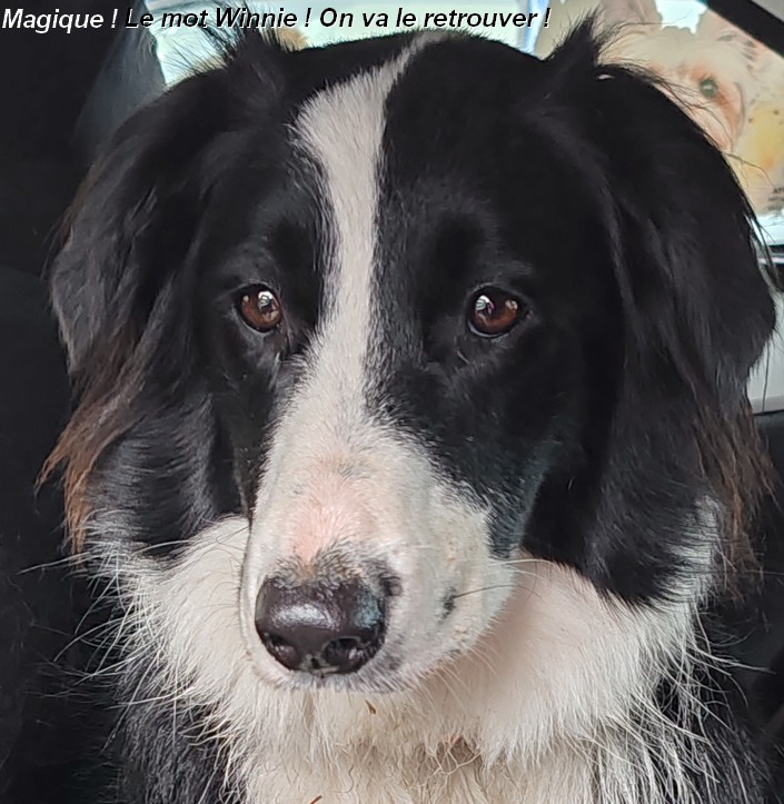 IMG-20260206-130854bb