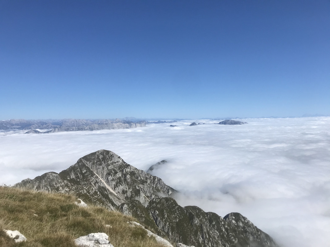 ADAF802A-B1DF-45E2-BC10-299B413EA32D