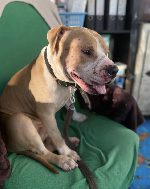 Снимок экрана 2024-11-02 в 20.15.40