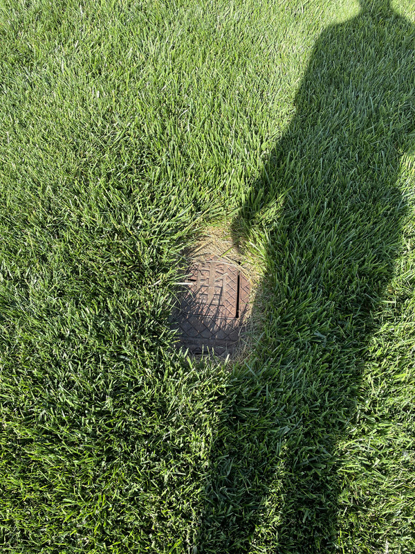 B29E1FC2-4230-40DC-8D8A-3502297589BA