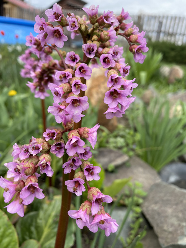 ADFED174-6497-425A-9B7D-E55DDCE6F33D