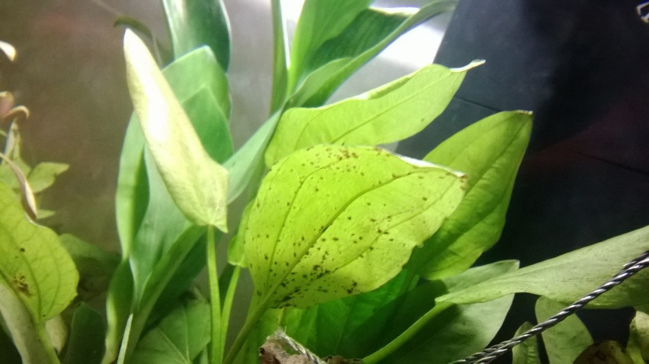 WP_20140217_006 (FILEminimizer)