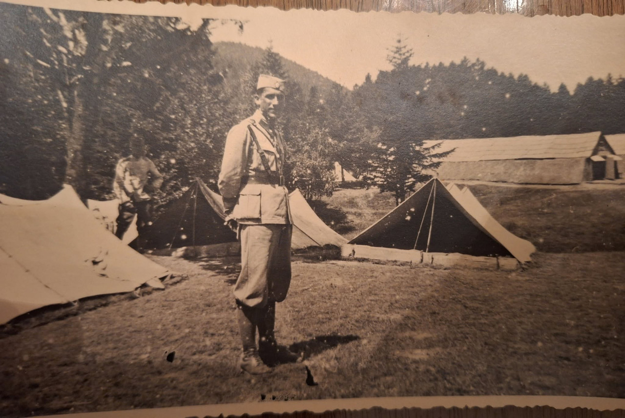 [Слика: 516445268-10228961894260183-3829578518098936656-n.jpg]