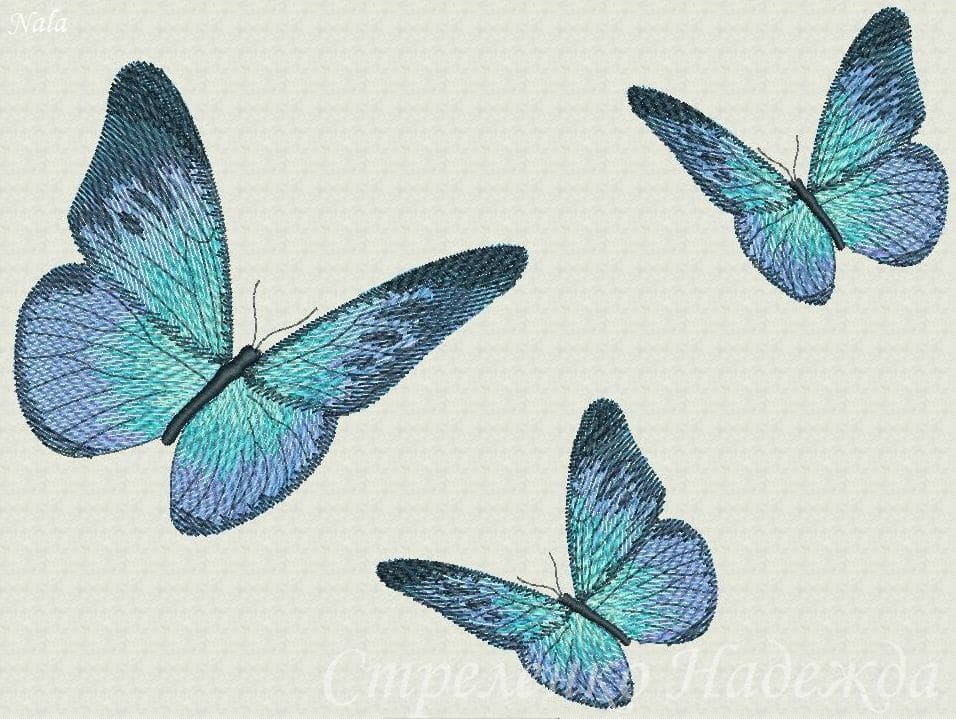 бабочки3