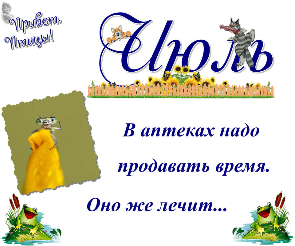 https://i.postimg.cc/4xtT9QCn/01-07.png