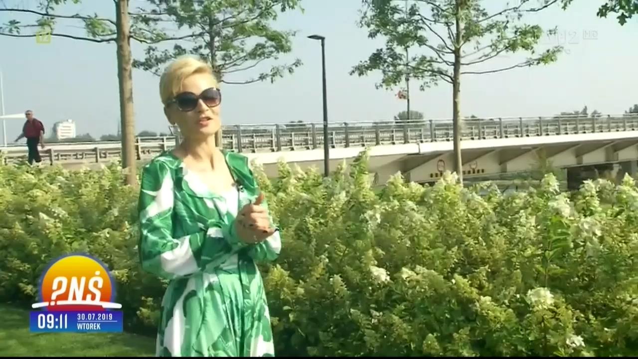 V0323_20190804_162024.mp4_snapshot_00.14_[2019.08.06_15.58.19]