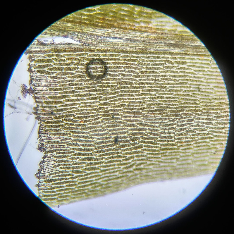 IMG 20250614 111952 HDR