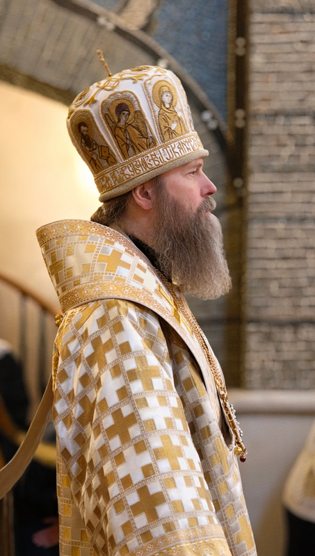 In Shot 20260212 185156206