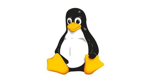 Useful Linux Commands For Beginners 2022