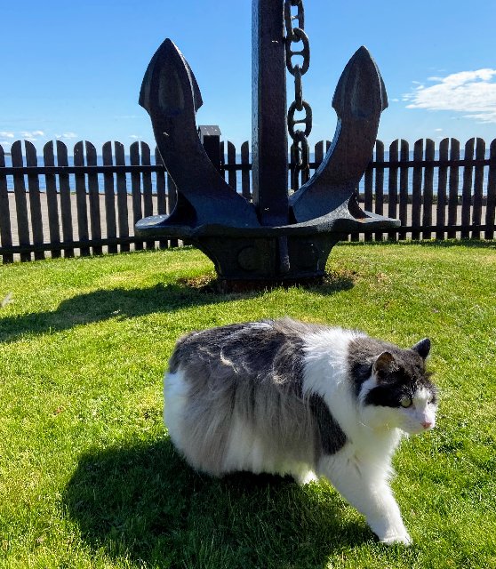 78-B320-FD-A2-CF-4-B13-B19-C-B66-B78670-