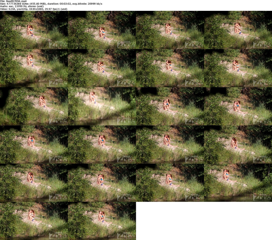 24112024234513screenshot