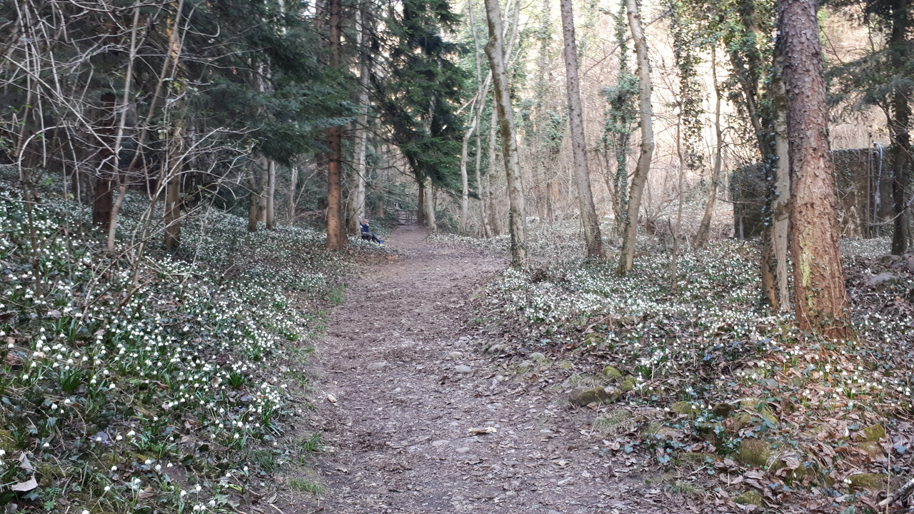 20190302_162452