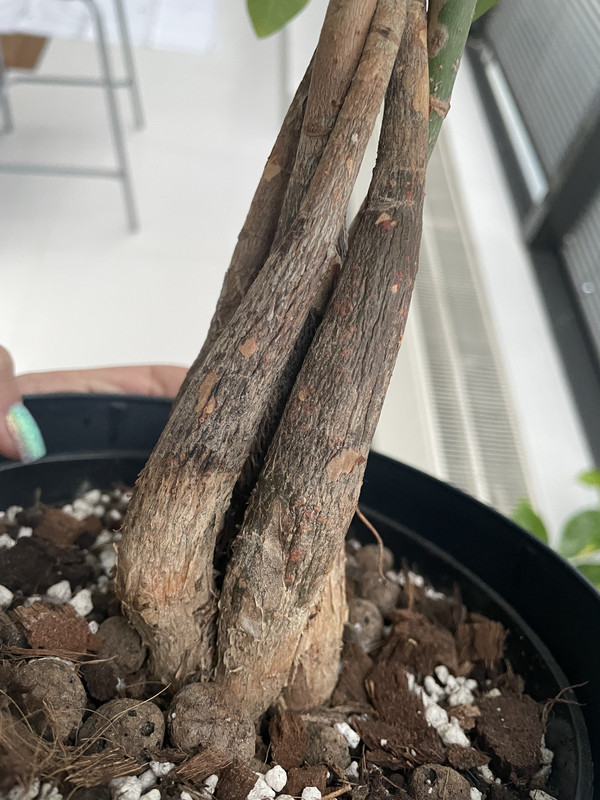 4CEEBE7A-D1BC-4E8B-8B2F-101DFAA185F6