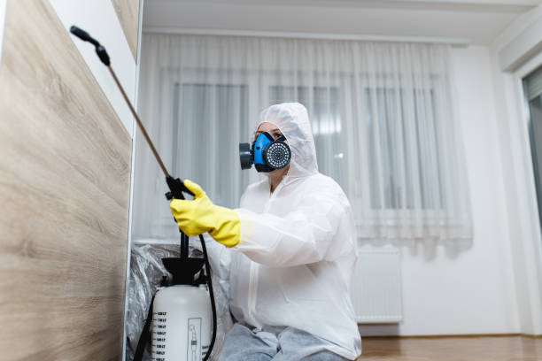 Kissimmee termite treatment
