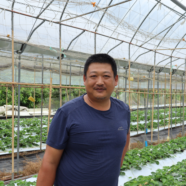 苗栗泰安 傅燕昌番茄草莓果園