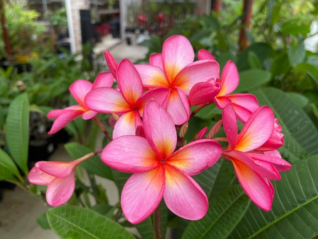 [Image: 245195058-4540984155958157-1898239073668073286-n.jpg]