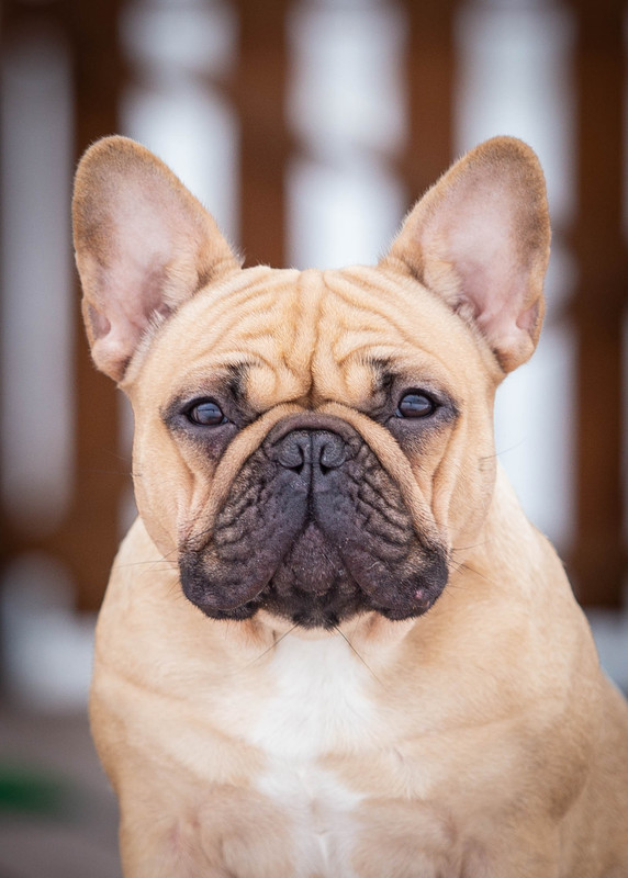 _........ (1 из 1)