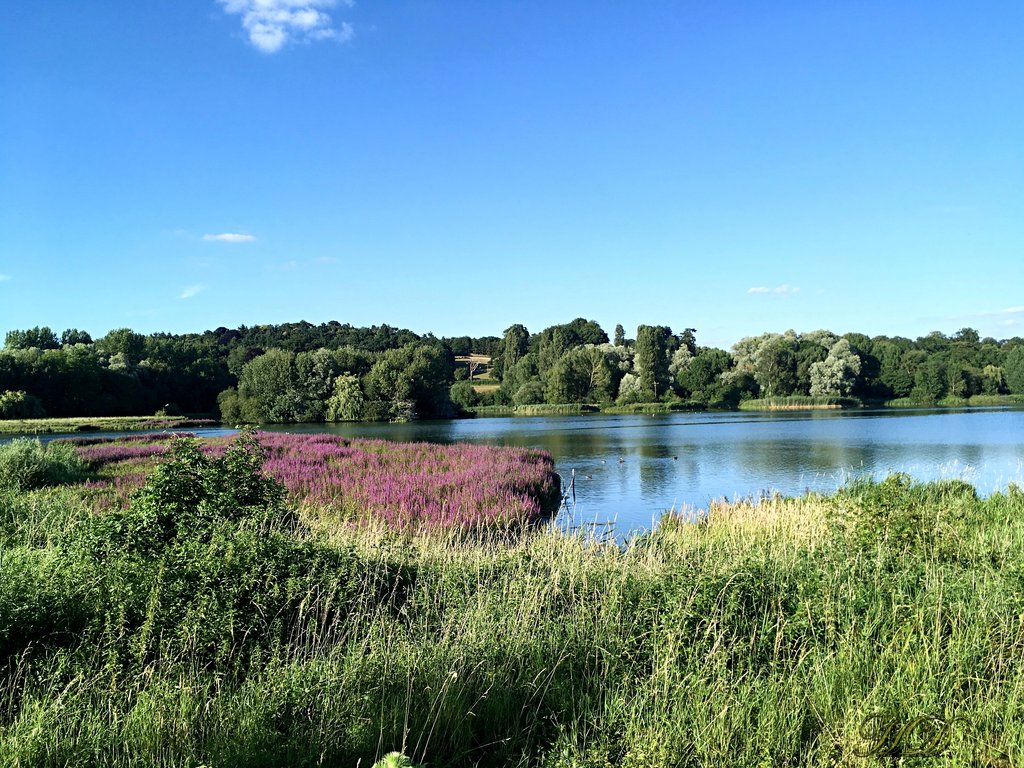 canal-nature-reserve-HD.jpg