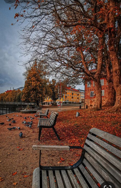 Screenshot_20231217_223553_Pinterest