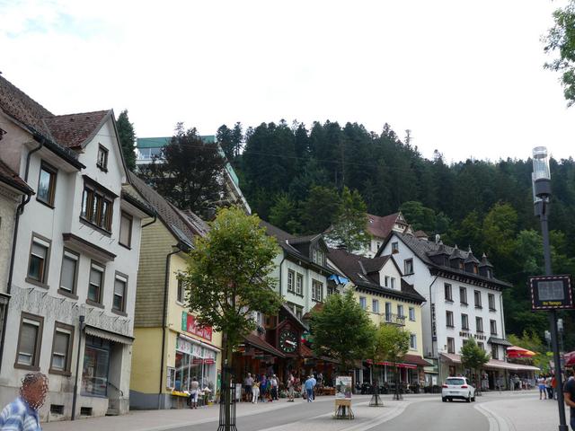 Día 9- Rodelbahn de Gutach, Triberg y Lago Titisee - ALSACIA, LAGO CONSTANZA Y SELVA NEGRA - Agosto 2017 (11)