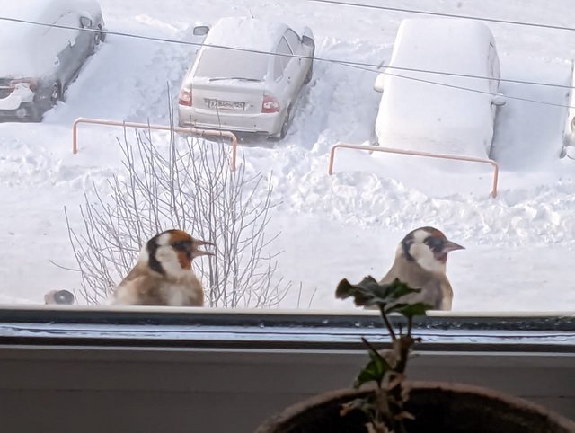 d14eccef-1e05-4b1a-bcc4-0e931602bade