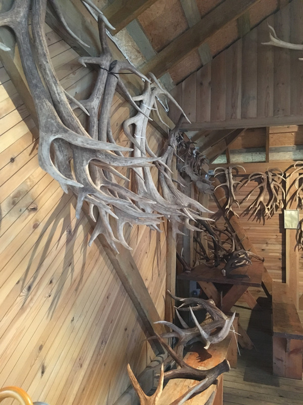 C2A3C8E9-F145-4407-86D0-BC549B624F09