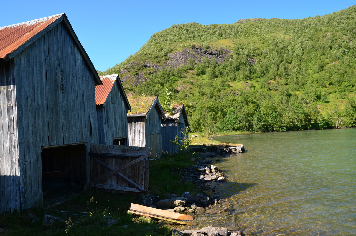 Noruega 10 días de cabañas y con niños - Blogs of Norway - ETAPA 3- Geiranger- Granja de Herdalssetra (3)