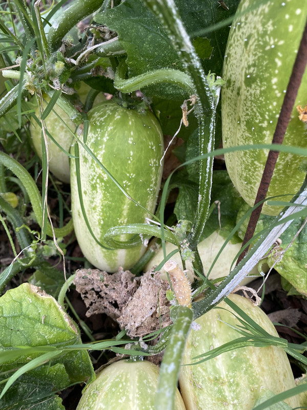 7BDA1B67-8B60-4E8A-B946-93CCCE4053CD