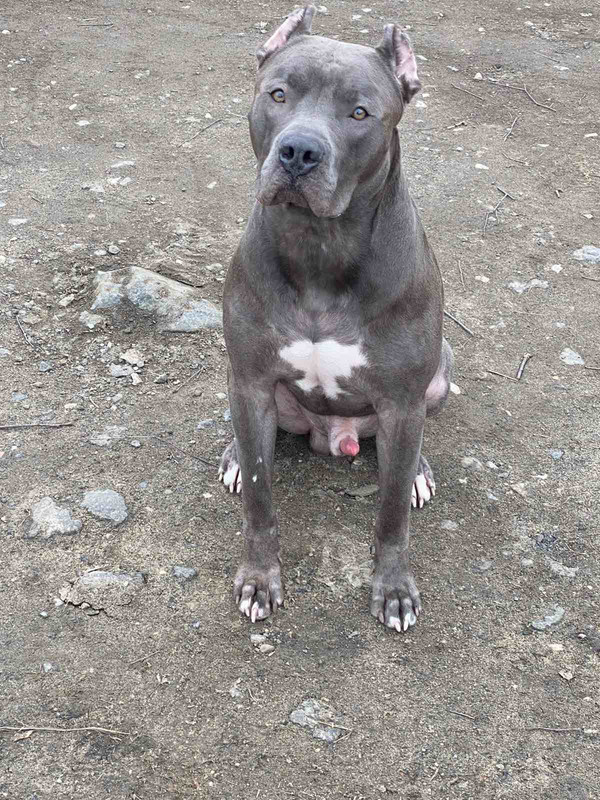 0683D833-FC29-4EC2-BDB4-C15662E4A78B