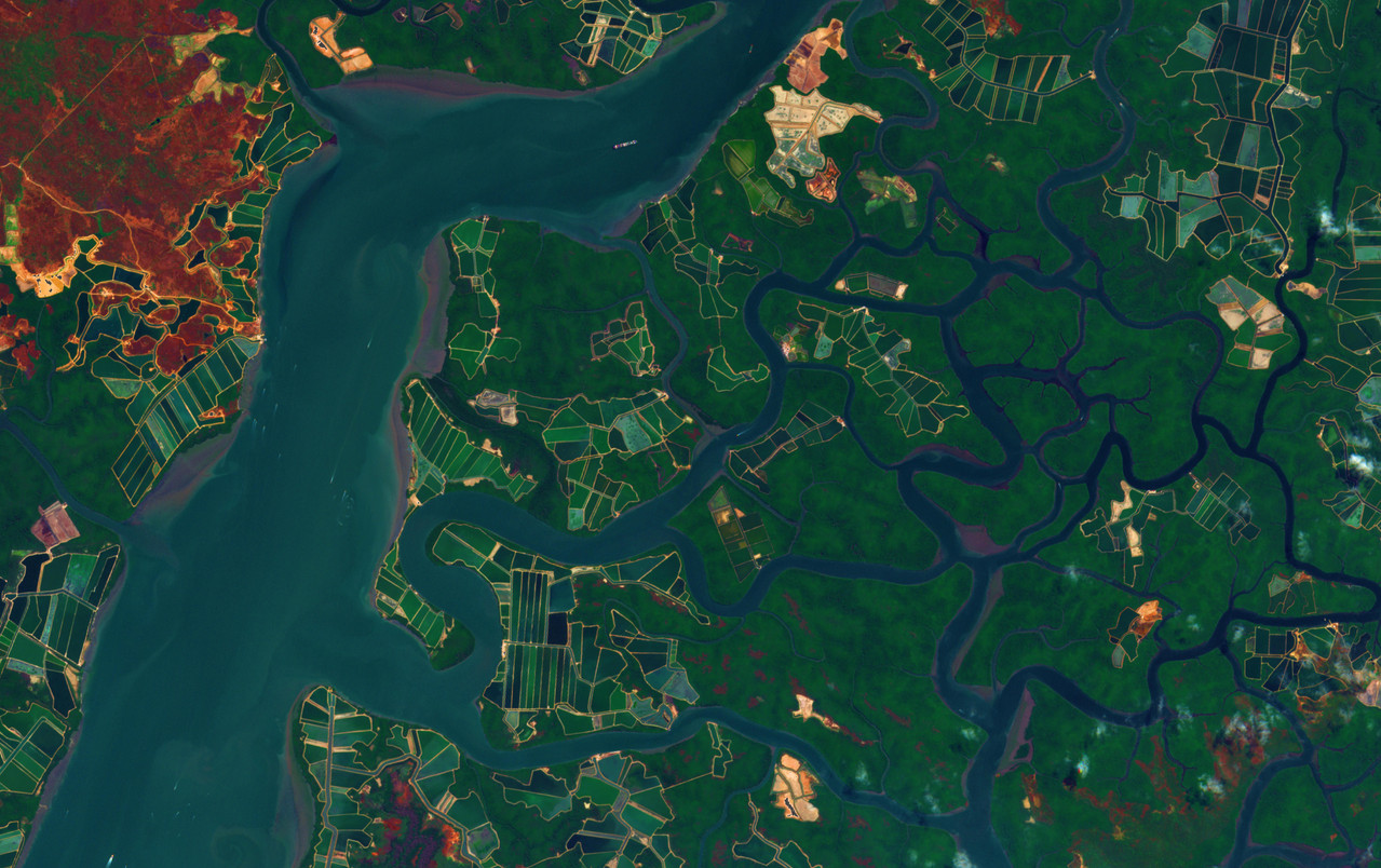 Guayas Estuary satellite