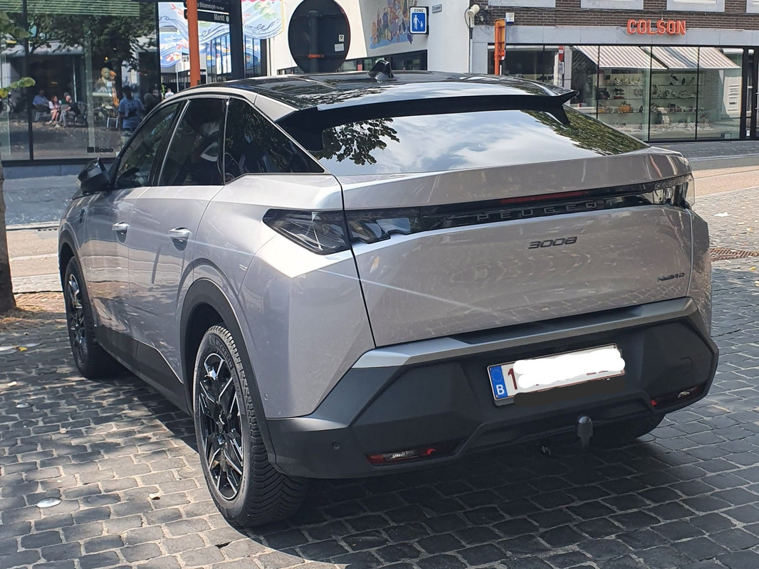 3008-2.jpg
