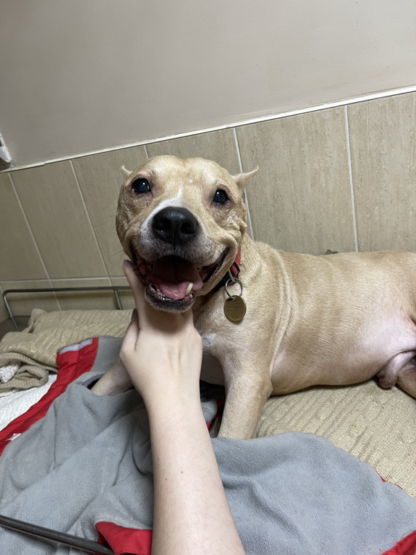 93D77FFB-64DE-4138-9CB6-0F465551B8AF