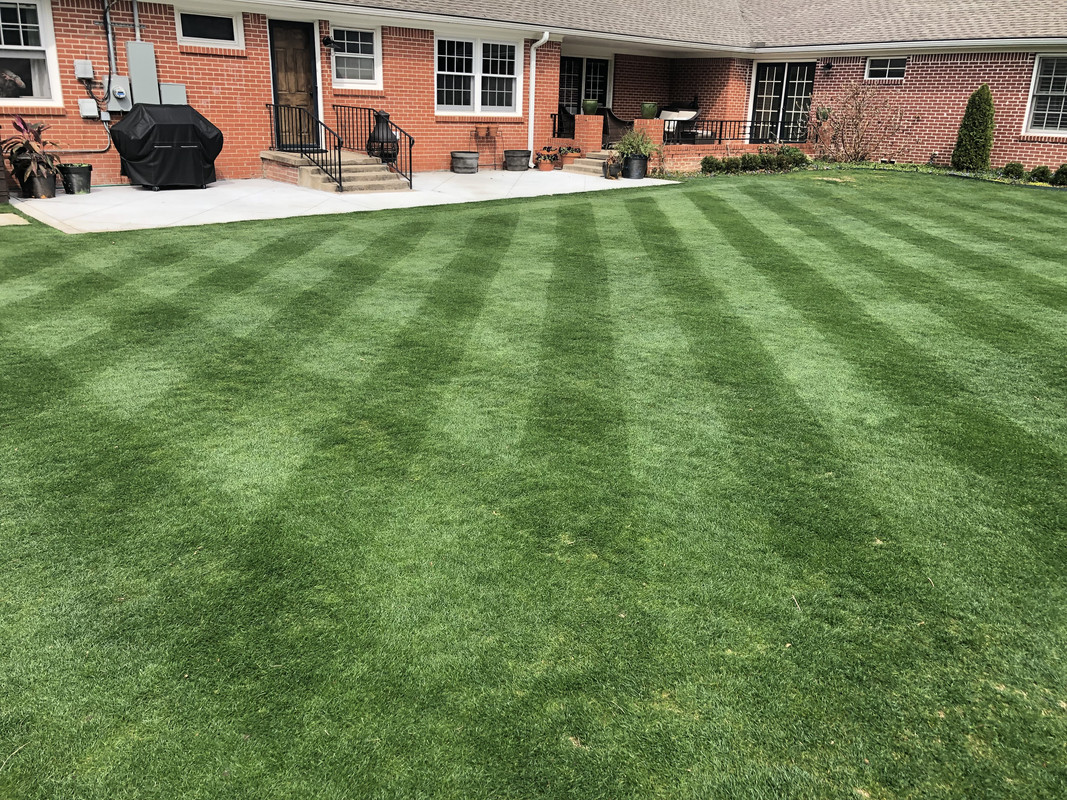 99035CF0-8D10-43DB-904C-2D34A82A5AB6