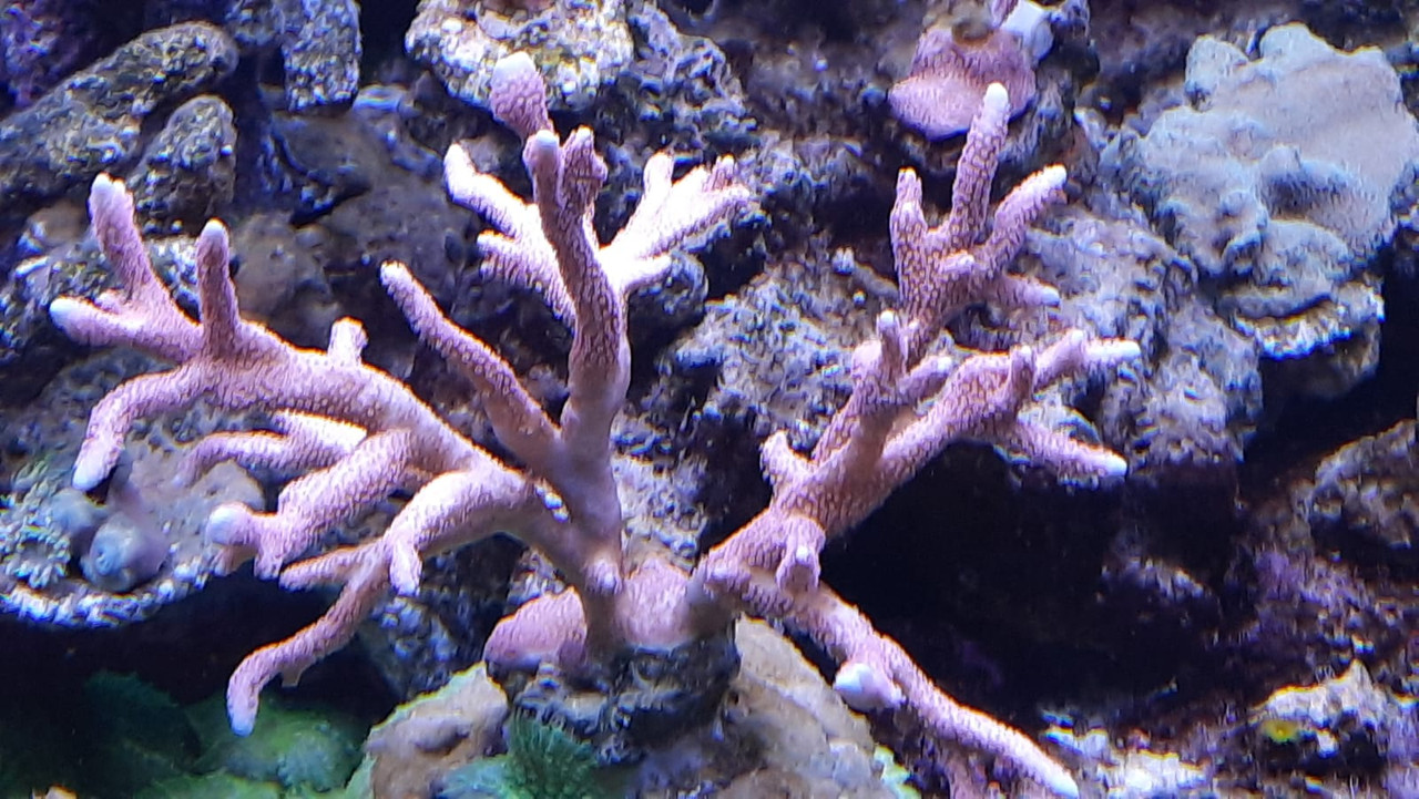 WhatsApp Image 2021-02-19 at 12.49.27 (1)