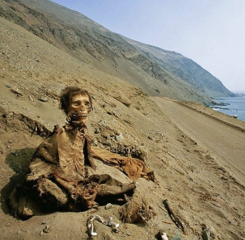 ۲۰۲۴۰۴۱۱_۰۶۳۷۱۶